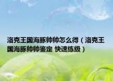 洛克王国海豚帅帅怎么得（洛克王国海豚帅帅鉴定 快速练级）
