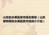 山东的水果批发市场在哪里（山东都有哪些水果批发市场简介介绍）