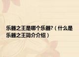 乐器之王是哪个乐器?（什么是乐器之王简介介绍）