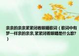 亲亲的亲亲紧紧闭着眼睛歌词（歌词中有梦一样亲的亲亲,紧紧闭着眼睛是什么歌?）