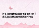 洛克王国雪精灵在哪抓 雪精灵怎么得（洛克王国雪精灵在哪里抓简介介绍）
