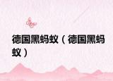 德国黑蚂蚁（德国黑蚂蚁）