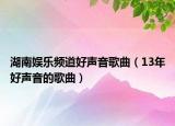 湖南娱乐频道好声音歌曲（13年好声音的歌曲）