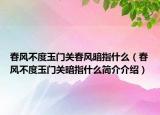 春风不度玉门关春风暗指什么（春风不度玉门关暗指什么简介介绍）