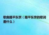 歌曲踏平东京（踏平东京的歌词是什么）