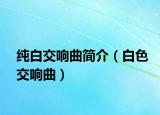 纯白交响曲简介（白色交响曲）