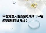 lol世界赛入围赛晋级规则（lol晋级赛规则简介介绍）