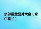 奈尔霍兰图片大全（奈尔霍兰）