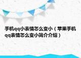 手机qq小表情怎么变小（苹果手机qq表情怎么变小简介介绍）