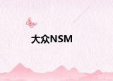大众NSM
