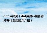 dnf ss碎片（dnf深渊ss装备碎片有什么用简介介绍）