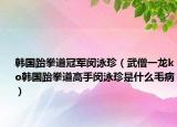 韩国跆拳道冠军闵泳珍（武僧一龙ko韩国跆拳道高手闵泳珍是什么毛病）