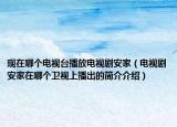 现在哪个电视台播放电视剧安家（电视剧安家在哪个卫视上播出的简介介绍）