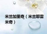 米兰加里奇（米兰耶雷米奇）