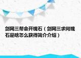 剑网三帮会开瑰石（剑网三求问瑰石是啥怎么获得简介介绍）