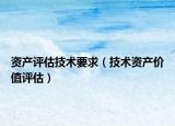 资产评估技术要求（技术资产价值评估）