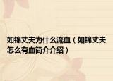 如锦丈夫为什么流血（如锦丈夫怎么有血简介介绍）