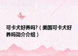 可卡犬好养吗?（美国可卡犬好养吗简介介绍）