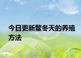 今日更新鳖冬天的养殖方法