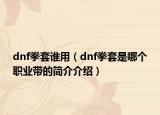 dnf拳套谁用（dnf拳套是哪个职业带的简介介绍）