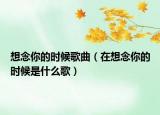 想念你的时候歌曲（在想念你的时候是什么歌）