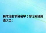 猜成语的节目名字（你比我猜成语大全）