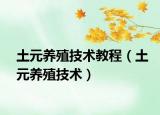土元养殖技术教程（土元养殖技术）