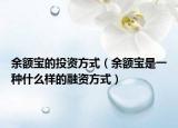 余额宝的投资方式（余额宝是一种什么样的融资方式）