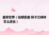 魔兽世界（动感低音 阿卡兰峰林 怎么进去）