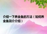 介绍一下养金鱼的方法（如何养金鱼简介介绍）
