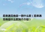 后来遇见他是一首什么歌（后来遇见他是什么歌简介介绍）
