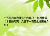 十五的月亮为什么十六圆,下一句是什么（十五的月亮十六圆下一句怎么说简介介绍）