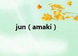 jun（amaki）