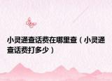 小灵通查话费在哪里查（小灵通查话费打多少）