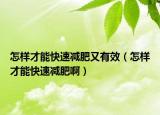 怎样才能快速减肥又有效（怎样才能快速减肥啊）