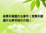 春黄不接是什么季节（青黄不接是什么季节简介介绍）
