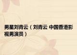 男星刘青云（刘青云 中国香港影视男演员）