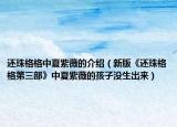 还珠格格中夏紫薇的介绍（新版《还珠格格第三部》中夏紫薇的孩子没生出来）
