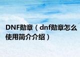 DNF勋章（dnf勋章怎么使用简介介绍）