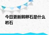 今日更新鹅卵石是什么岩石