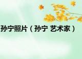 孙宁照片（孙宁 艺术家）