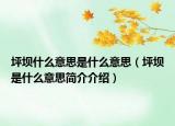 坪坝什么意思是什么意思（坪坝是什么意思简介介绍）