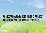 今日方知我是我出自哪里（今日方知我是我是什么意思简介介绍）