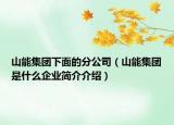 山能集团下面的分公司（山能集团是什么企业简介介绍）