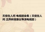 天使在人间 电视剧全集（天使在人间 沈燕林胡兼议导演电视剧）