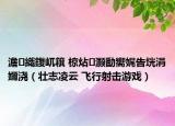 澹織鍑屼簯 椋炶灏勫嚮娓告垙涓嬭浇（壮志凌云 飞行射击游戏）
