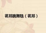 茗邦跳舞毯（茗邦）