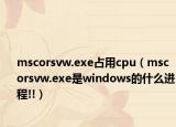 mscorsvw.exe占用cpu（mscorsvw.exe是windows的什么进程!!）