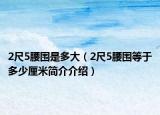 2尺5腰围是多大（2尺5腰围等于多少厘米简介介绍）