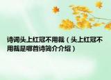 诗词头上红冠不用裁（头上红冠不用裁是哪首诗简介介绍）